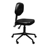 CAM Adjustable Artist Chair with Tilt-Lock, Seat Angle & Height Adjustability