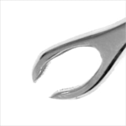 Slotted Standard Tongue Forceps (With Closed Lock)-CAM SUPPLY INC. - SUPERSTORE (USA)
