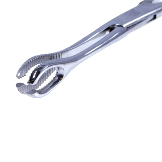 Slotted Standard Tongue Forceps (No Lock)-CAM SUPPLY INC. - SUPERSTORE (USA)