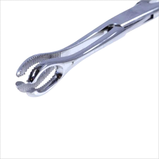 Slotted Mini Tongue Forceps (No Lock)-CAM SUPPLY INC. - SUPERSTORE (USA)